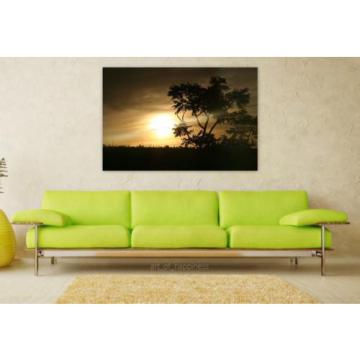 Stunning Poster Wall Art Decor Shadow Twilight Eventide Sol 36x24 Inches