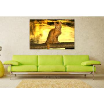 Stunning Poster Wall Art Decor Cat Rio Eventide 36x24 Inches