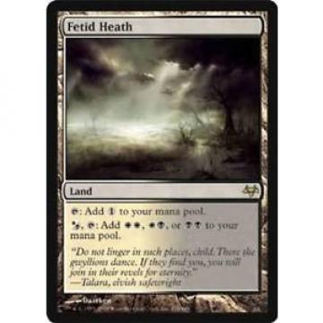 Fetid Heath - LP *CHINESE* - Eventide MTG Magic Cards Land Rare