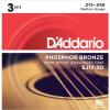 D&#039;Addario EJ17-3D Phosphor Bronze Acoustic Guitar Strings Medium 13-56 3 Sets