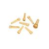 Planet Waves Boxwood Bridge &amp; End Pins For Acoustic Guitar - PWPS6