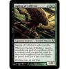 MTG Sapling of Colfenor from Eventide NM-Mint, English -La Place-