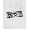 Bob Dylan lyric Sticker! &#034;The Times They Are a-Changin&#039; &#034; protest anti war