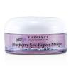 Eminence Blueberry Soy Repair Masque (Normal to Dry Skin) 60ml