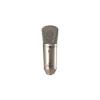 Behringer B-1 Studio Condenser Microphone Gold-Sputtered Large-Diaphragm Mic B1