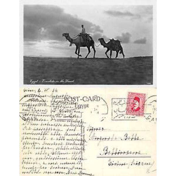 Africa Egypt Eventide in the desert _ مصر المساء في الصحراء (A-L 484) #1 image