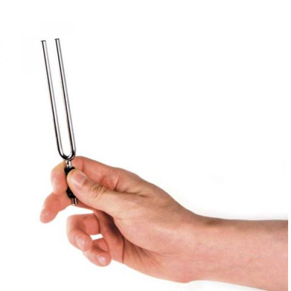 Planet Waves Tuning Fork Key of E #2 image