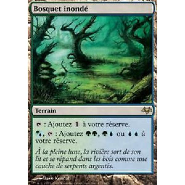 *MRM* FR bosquet inondé ( Flooded Grove ) MTG Eventide #1 image