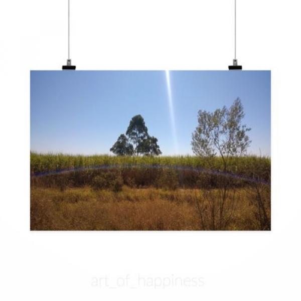 Stunning Poster Wall Art Decor Sunset Tree Sol Eventide Sky 36x24 Inches #2 image