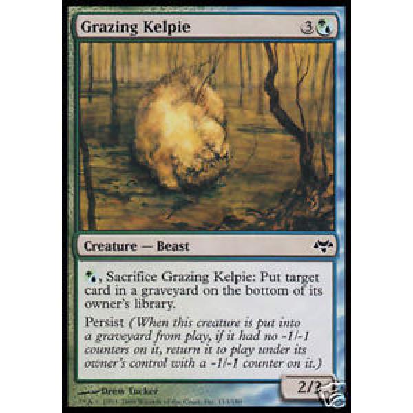 4x Grazing Kelpie - - Eventide - - mint #1 image