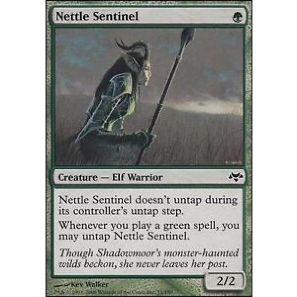 MTG - Nettle Sentinel x4 Eventide SP/Good Condition #1 image