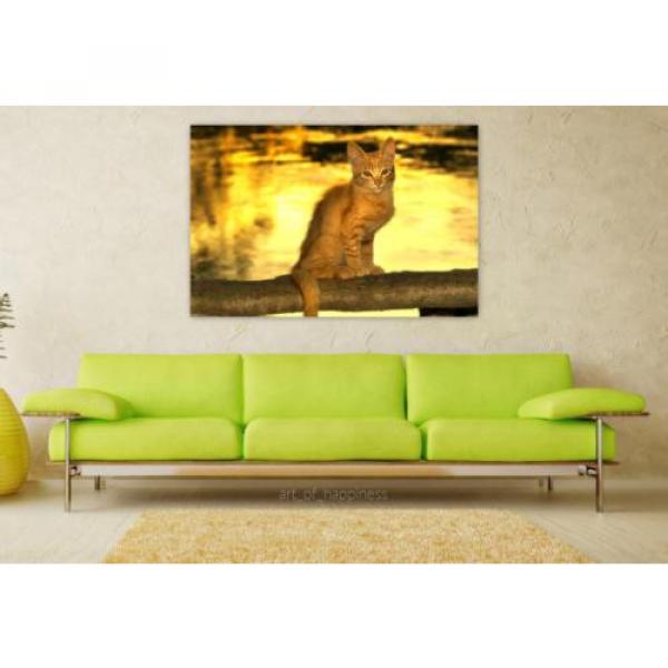 Stunning Poster Wall Art Decor Cat Rio Eventide 36x24 Inches #1 image