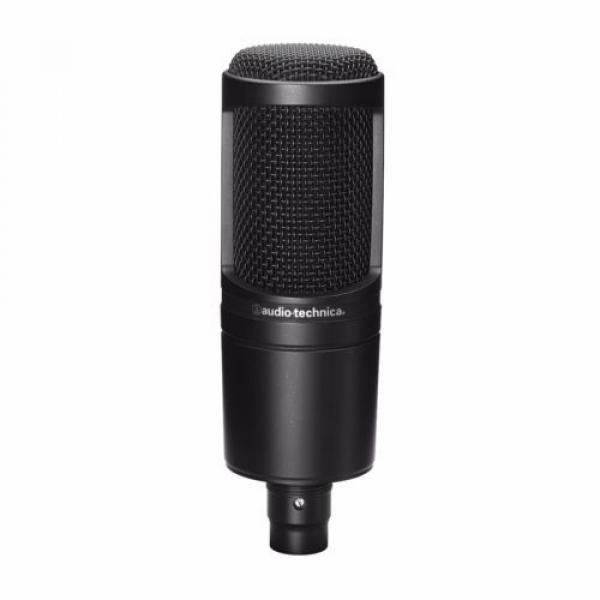 Audio-Technica AT2020 Microphone 10&#039; XLR CABLE INCLUDED #4 image