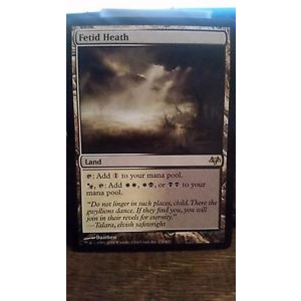 Fetid Heath NM-M Eventide MTG #1 image