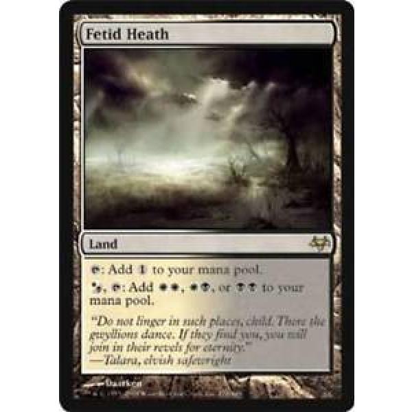 Fetid Heath - LP *CHINESE* - Eventide MTG Magic Cards Land Rare #1 image