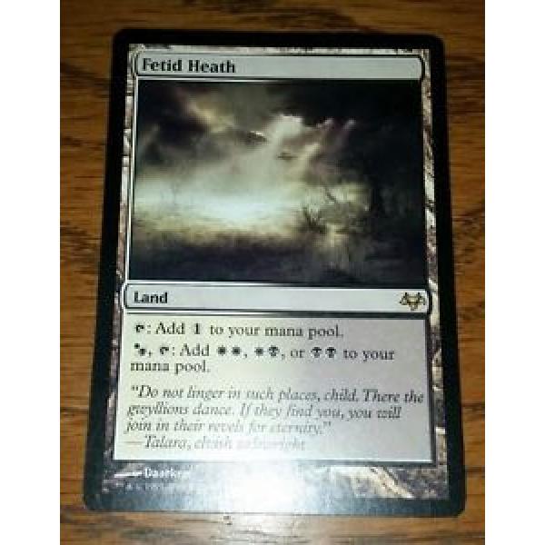 1 Fetid Heath Eventide Magic MTG EDH commander modern legacy Orzhov land rare #1 image