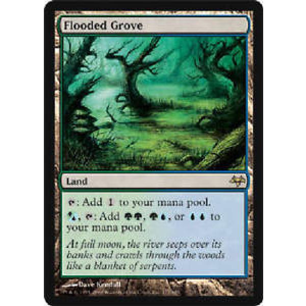 FLOODED GROVE Eventide MTG Magic the Gathering DJMagic #1 image