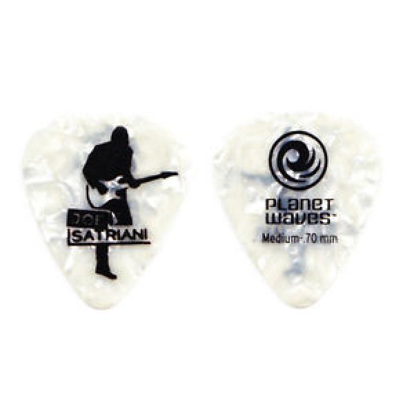 Joe Satriani White Pearl Guitar Pick - 2012 Chickenfoot #1 image