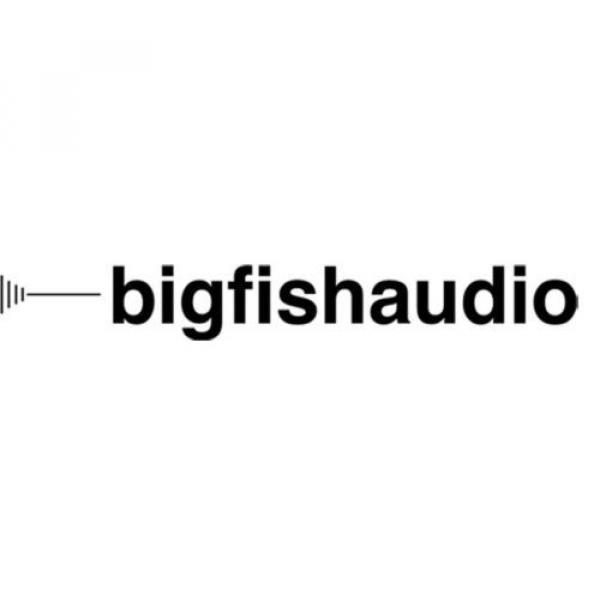 New Big Fish Audio Cinematic Synth FX Sounds FX for Modern Cinema Software #2 image