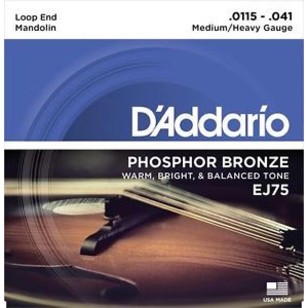 D&#039;Addario EJ75 Loop End Mandolin Strings Phosphor Bronze Wound 8 strings 11.5-41 #1 image