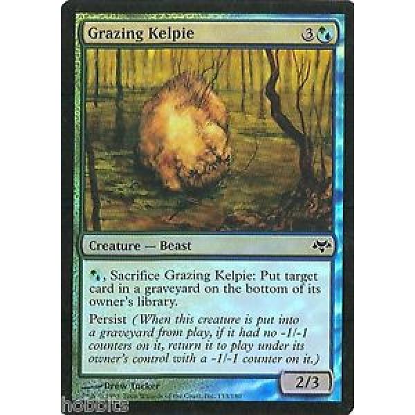 MTG - Eventide - Grazing Kelpie - 2X - Foil - NM #1 image