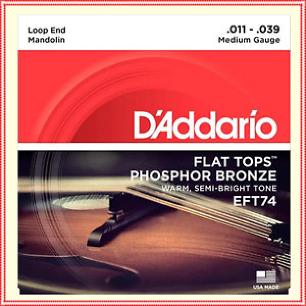 D&#039;Addario EFT74 Flat Tops Medium Mandolin Strings ( 11 - 39 ) #1 image