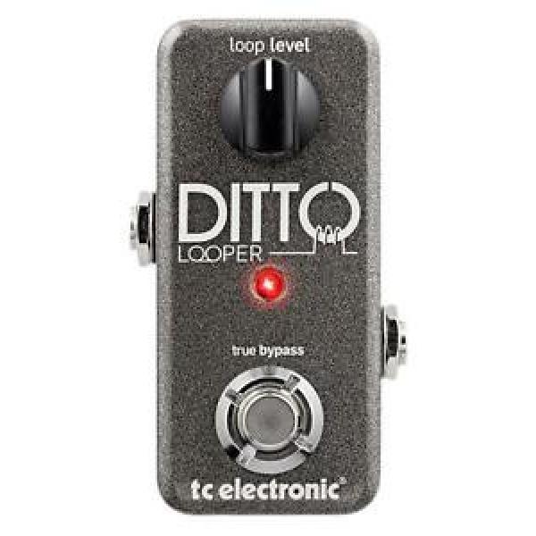 TC Electronic Ditto Looper Guitar Effects Pedal 5 minutes of Looping BNIB #1 image