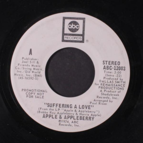 APPLE &amp; APPLEBERRY: Suffering A Love / Mono 45 (dj, plays VG+, for fans of Ned #1 image