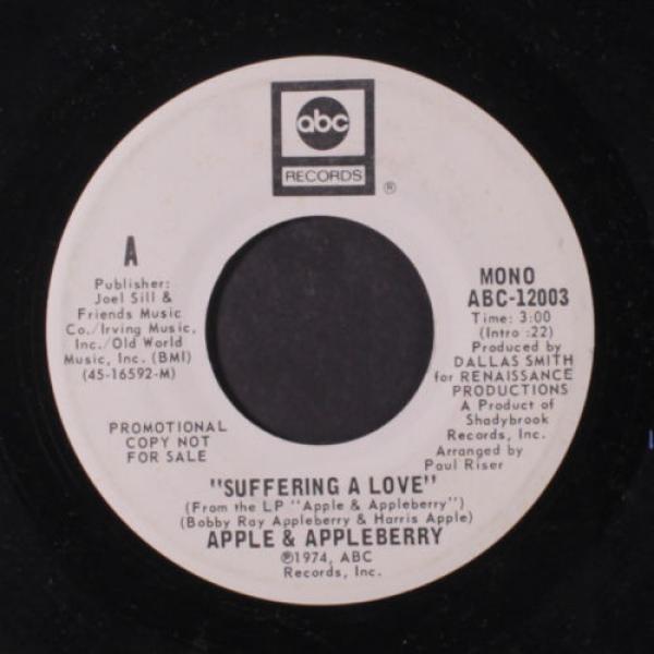 APPLE &amp; APPLEBERRY: Suffering A Love / Mono 45 (dj, plays VG+, for fans of Ned #2 image