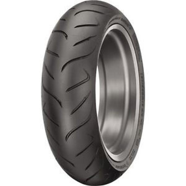 160/60ZR-17 Dunlop RoadSmart II Sport Touring Radial Rear Tire #1 image