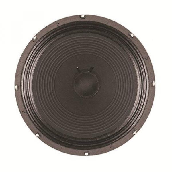 Eminence Signature Series EJ-1240 Eric Johnson 12&#034; Guitar Speaker, 40 Watts at 8 #2 image